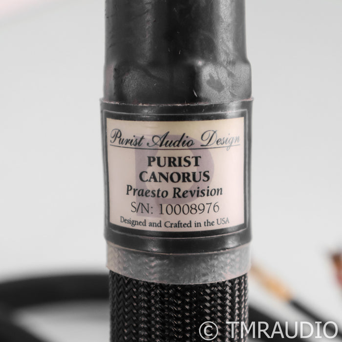 Purist Audio Design Canorus Praesto Speaker Cables; 2m Pair