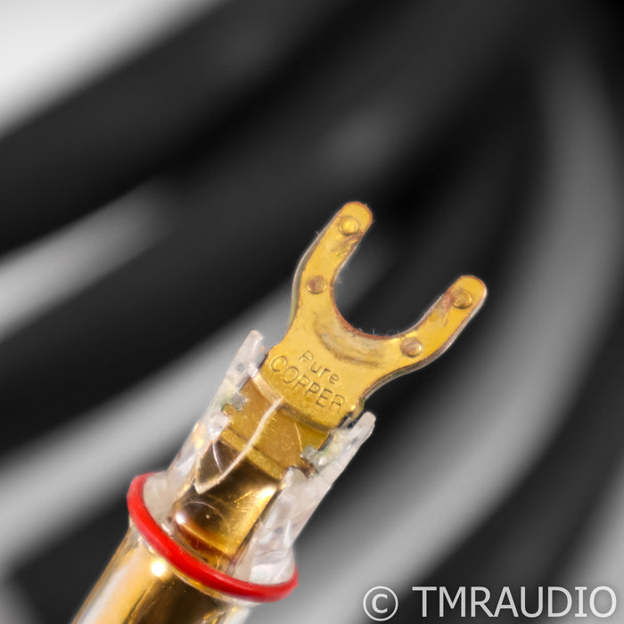 Purist Audio Design Canorus Praesto Speaker Cables; 2m Pair