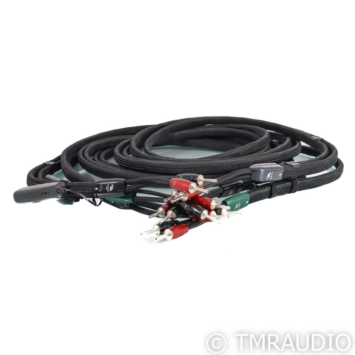 AudioQuest Robin Hood Bi-Wire Combo Speaker Cables; 12ft Pair; 72v DBS