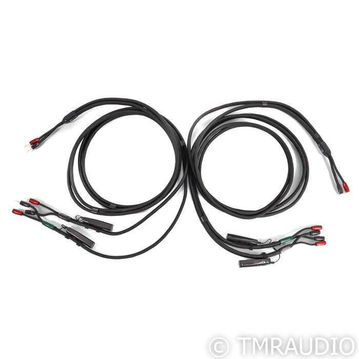 AudioQuest Robin Hood Bi-Wire Combo Speaker Cables; 12ft Pair; 72v DBS