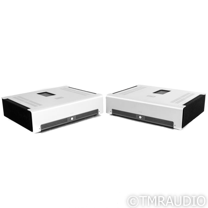 Schiit Audio TYR Monoblock Power Amplifiers; Pair