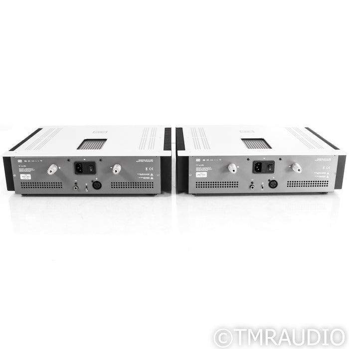 Schiit Audio TYR Monoblock Power Amplifiers; Pair