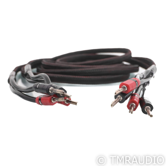 AudioQuest Rocket 33 Speaker Cables; 8ft Pair