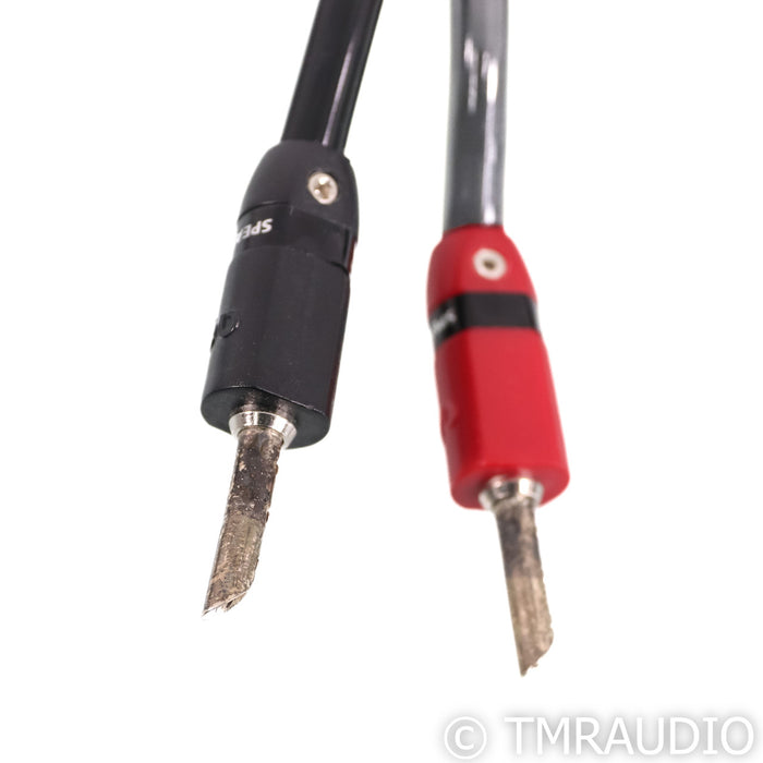 AudioQuest Rocket 33 Speaker Cables; 8ft Pair