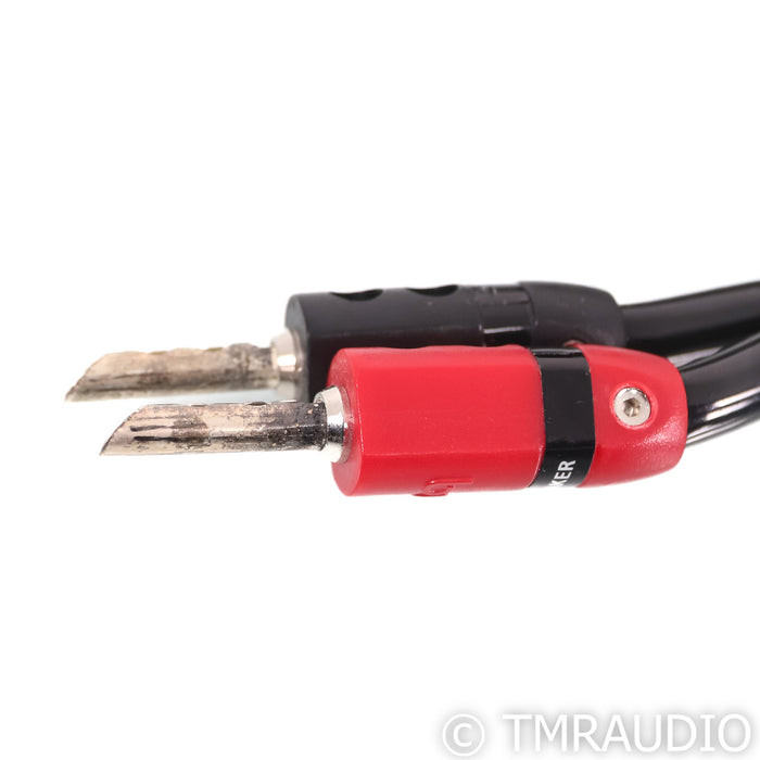 AudioQuest Rocket 33 Speaker Cables; 8ft Pair