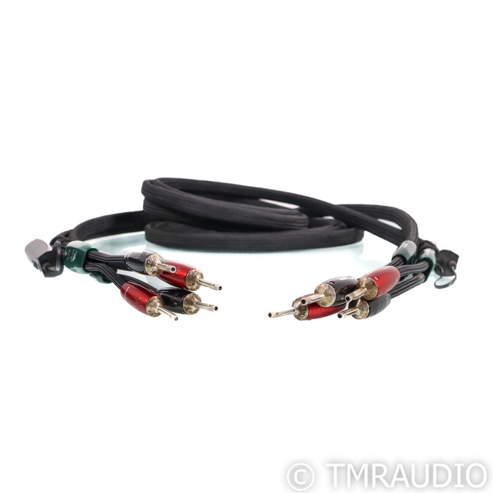 AudioQuest Robin Hood ZERO Speaker Cables; 12ft Pair; 72v DBS