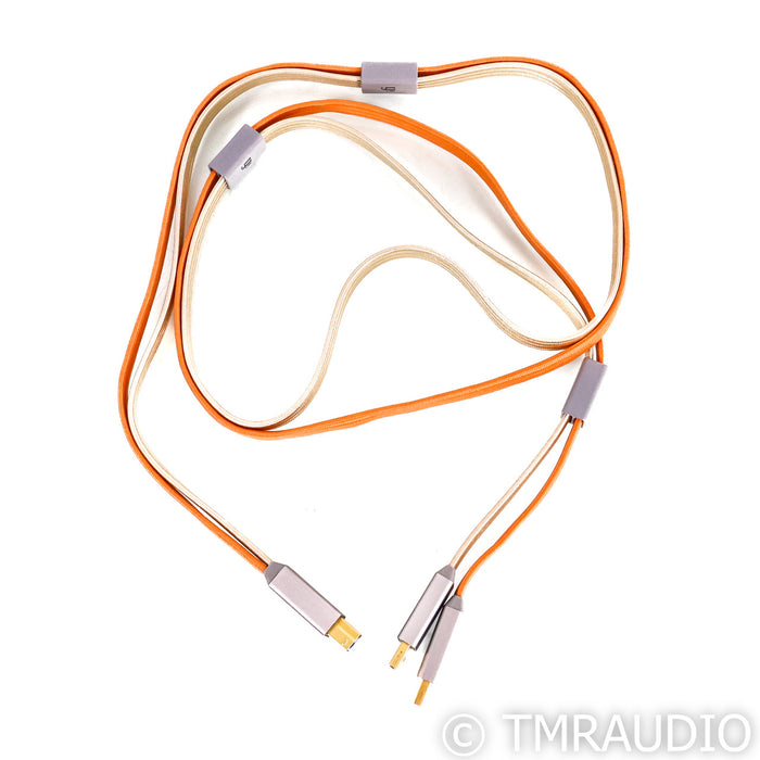 iFi Audio Gemini 3.0 Dual-Head USB Cable; 1.5m Digital Interconnect