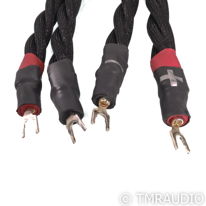 Synergistic Research Galileo SX Speaker Cables; 8ft Pair