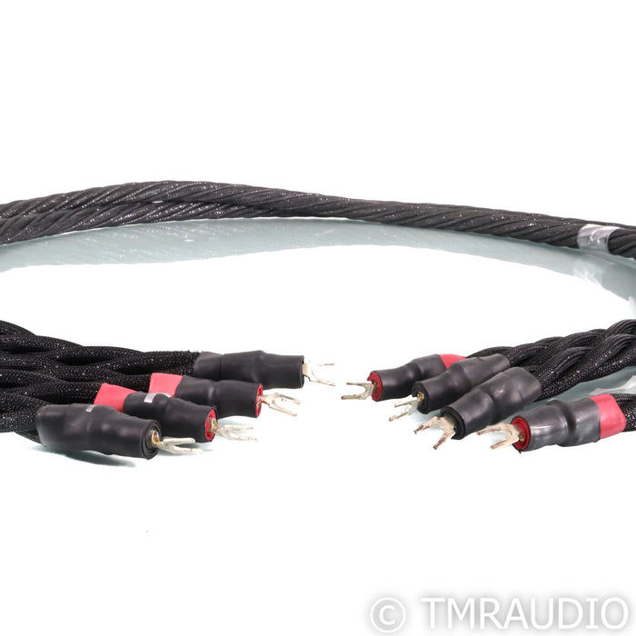 Synergistic Research Galileo SX Speaker Cables; 8ft Pair