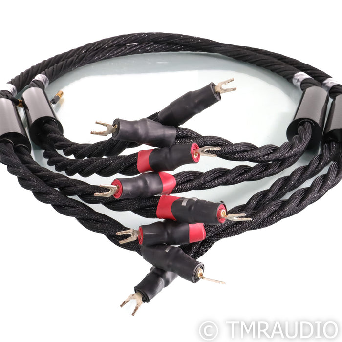 Synergistic Research Galileo SX Speaker Cables; 8ft Pair