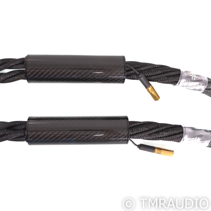Synergistic Research Galileo SX Speaker Cables; 8ft Pair