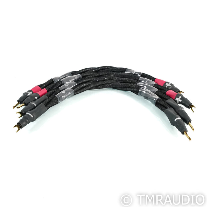 Synergistic Research Galileo SX Speaker Jumpers; Set of 4