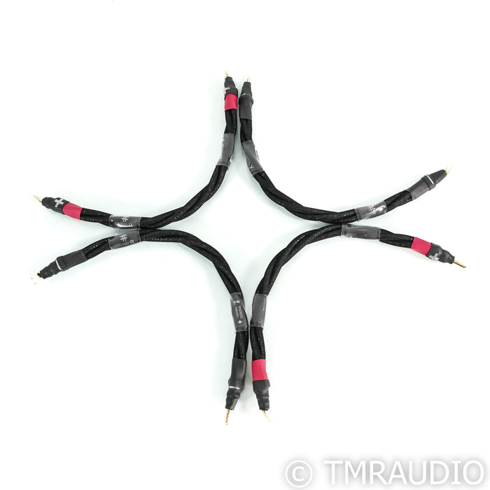 Synergistic Research Galileo SX Speaker Jumpers; Set of 4