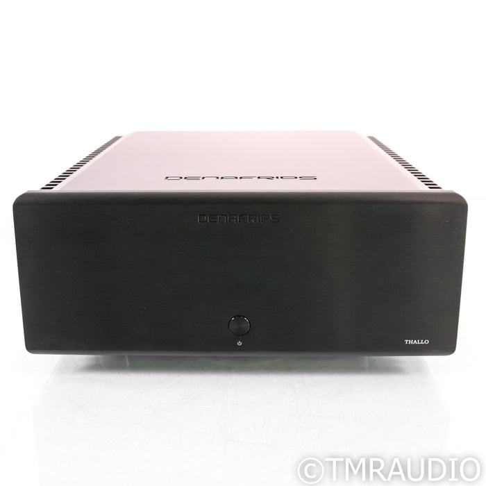 Denafrips Thallo Stereo Power Amplifier