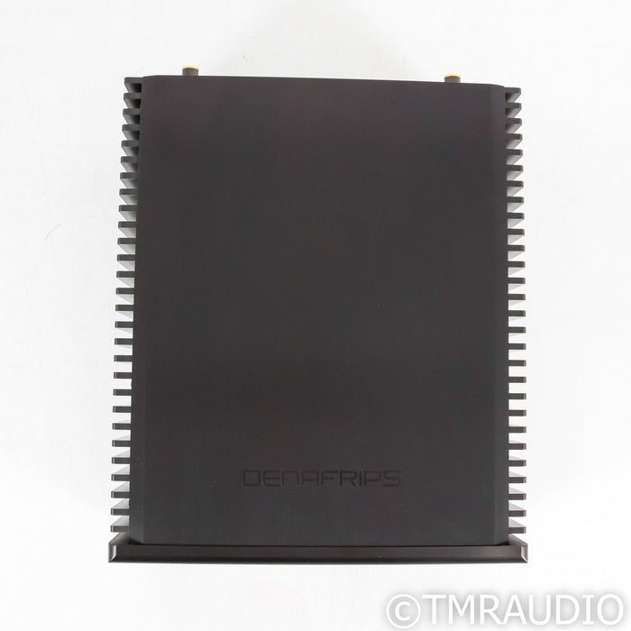 Denafrips Thallo Stereo Power Amplifier
