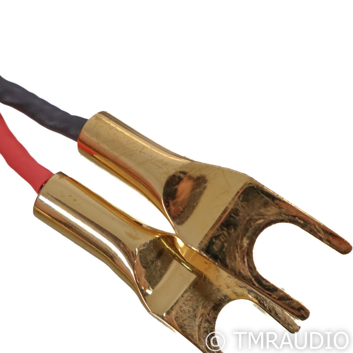 CH Acoustic Legacy X10 Speaker Cables; 18ft Pair