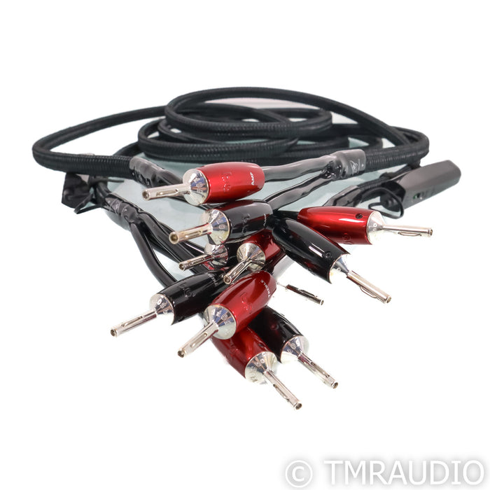 AudioQuest Rocket 88 Bi-Wire Speaker Cables; 8ft Pair