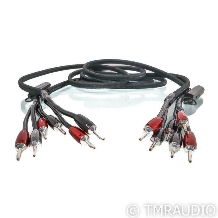 AudioQuest Rocket 88 Bi-Wire Speaker Cables; 8ft Pair
