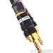 Harmonic Technology Fantasy Speaker Cables; 8ft Pair