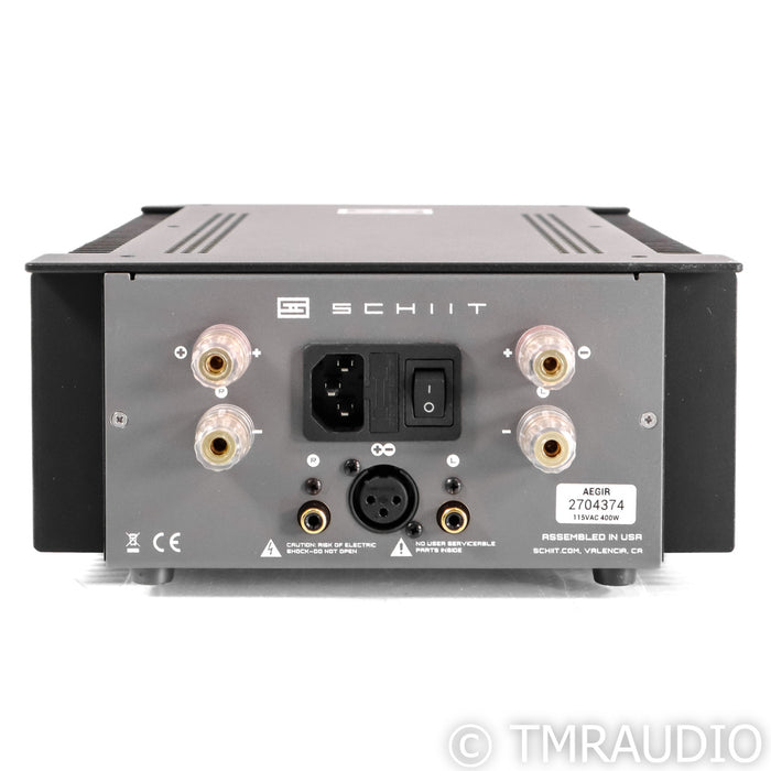Schiit Audio Aegir Stereo Power Amplifier