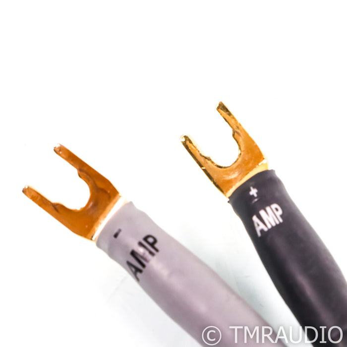Shunyata Research Delta v2 Speaker Cables; 3m Pair