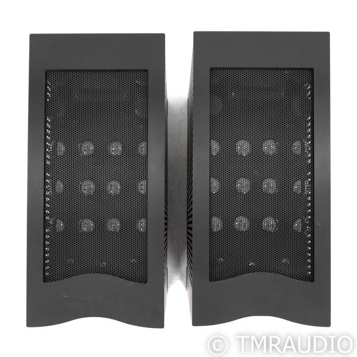VTL Siegfried Series 1 Tube Monoblock Power Amplifiers; Pair with New Tubes