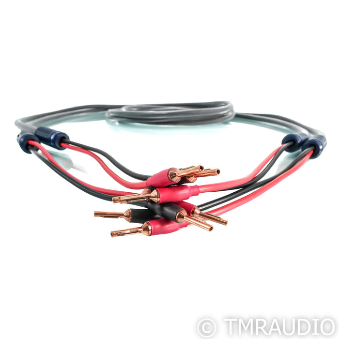 Shunyata Research Venom V2 Speaker Cables; 4m Pair