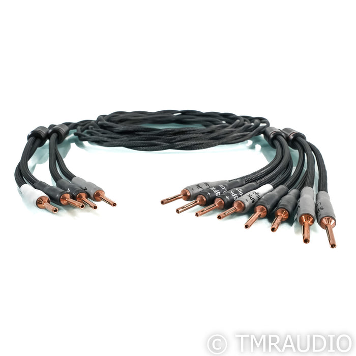 Shunyata Research Delta v2 Bi-Wire Speaker Cables; 4m Pair
