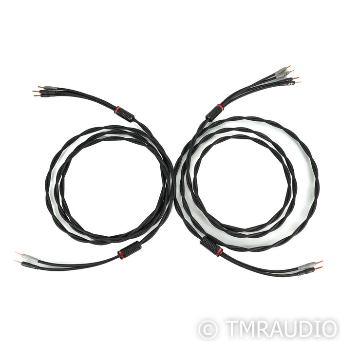 Shunyata Research Delta v2 Bi-Wire Speaker Cables; 4m Pair