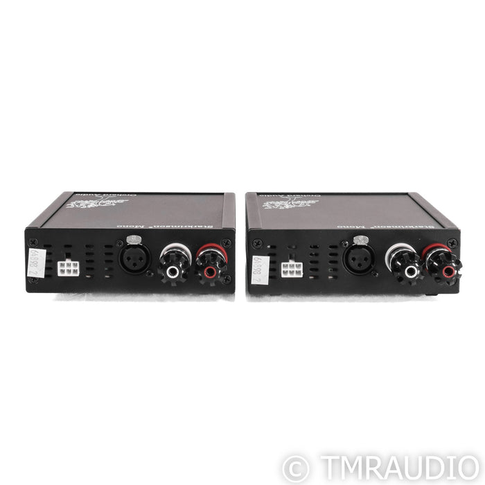 Orchard Audio Starkrimson GaN Monoblock Power Amplifiers; Pair w/ WBT Upgrade