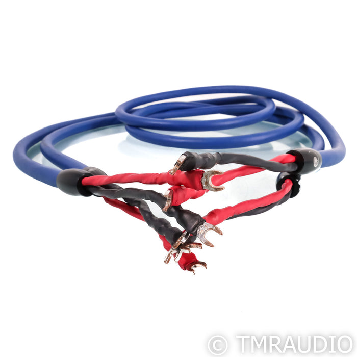 Cardas Audio Clear Speaker Cables; 2.5m Pair; Rev 1