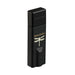 AudioQuest DragonFly Black USB DAC & Headphone Amplifier
