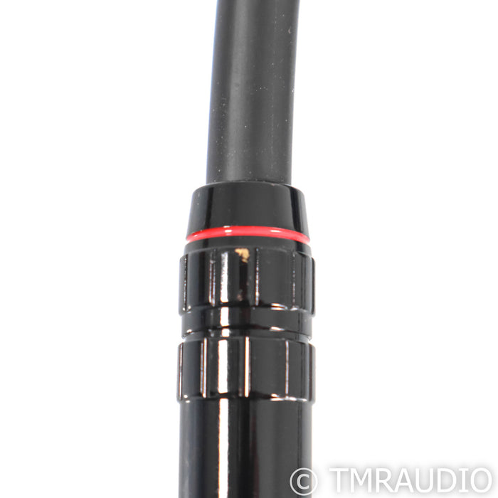 Transparent Audio Plus RCA Cables; G5; 10ft Pair Interconnects