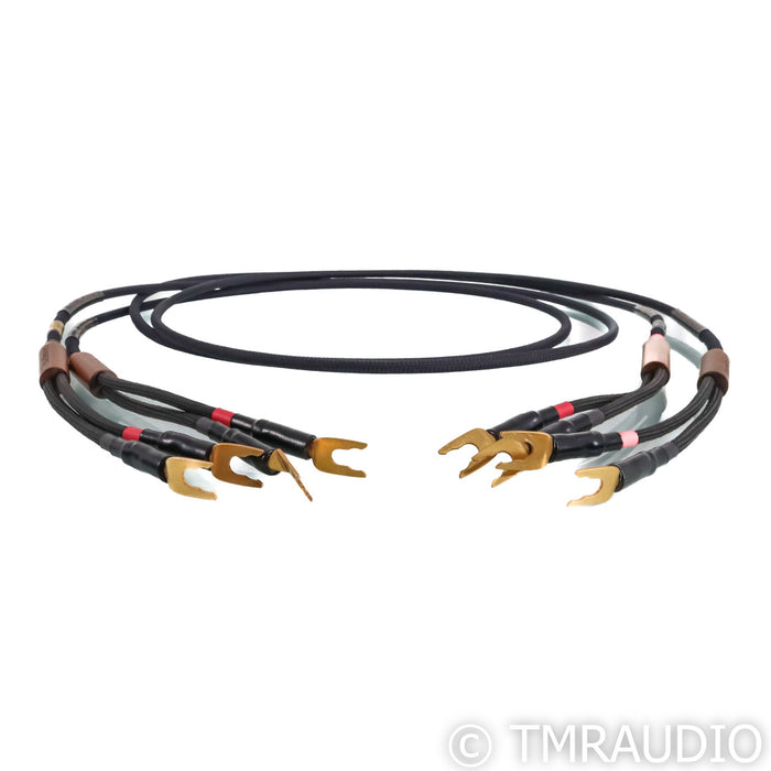 Audience frontRow Speaker Cables; 2m Pair