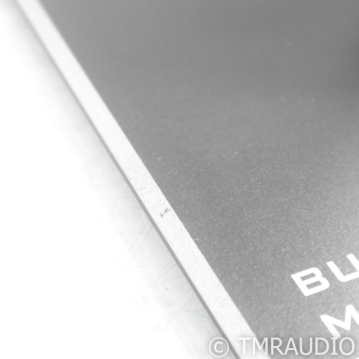 Burson Audio Timekeeper 3X GT Monoblock Power Amplifiers; Pair w/ Mothership 02