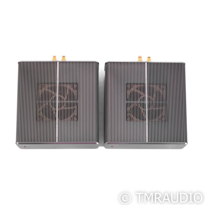Burson Audio Timekeeper 3X GT Monoblock Power Amplifiers; Pair w/ Mothership 02