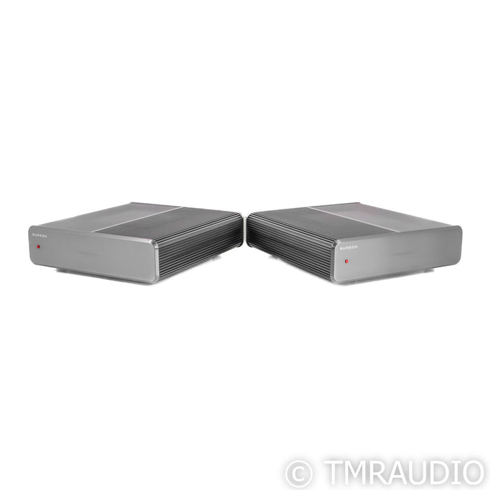 Burson Audio Timekeeper 3X GT Monoblock Power Amplifiers; Pair w/ Mothership 02