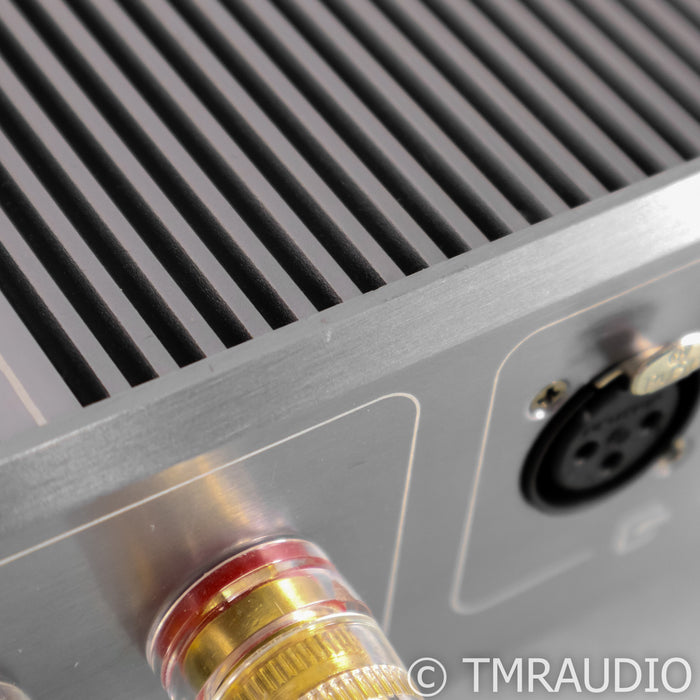 Burson Audio Timekeeper 3X GT Monoblock Power Amplifiers; Pair w/ Mothership 02