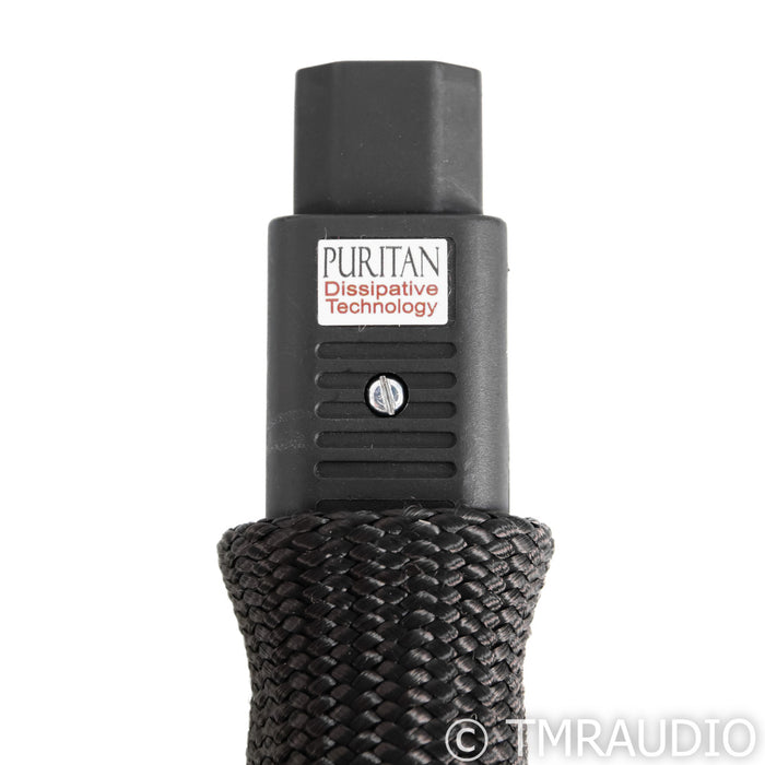 Puritan Audio Labs Ultimate Power Cable; 2m AC Cord