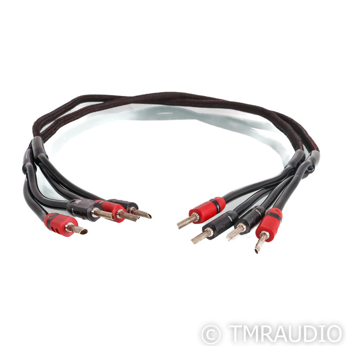 AudioQuest Rocket 33 Speaker Cable; 4ft Pair