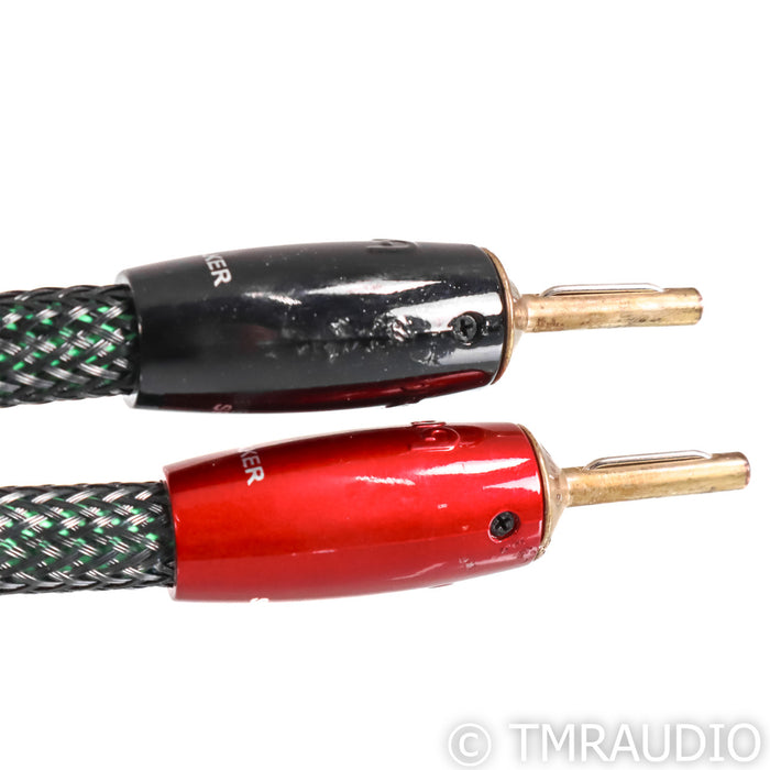 AudioQuest Aspen Speaker Cables; 6ft Pair