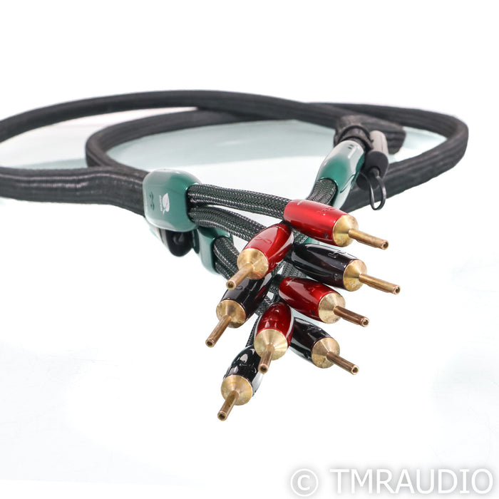 AudioQuest Aspen Speaker Cables; 6ft Pair