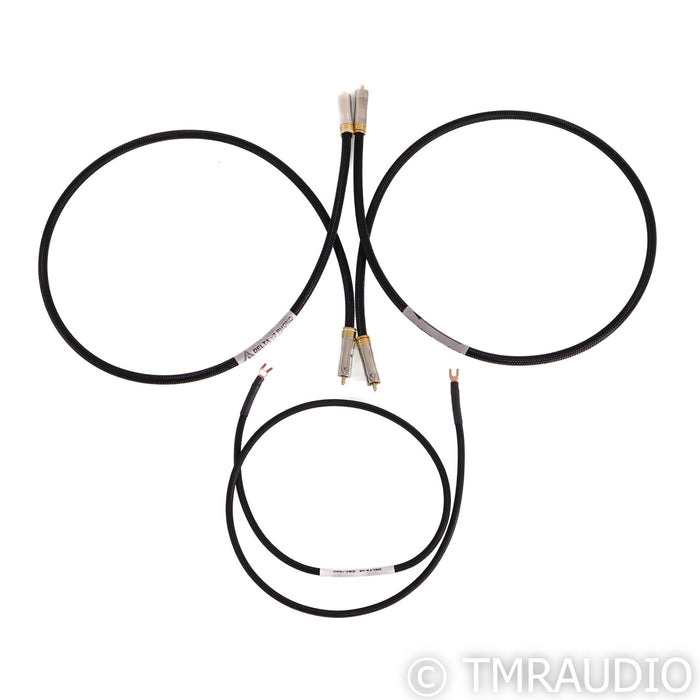 Shunyata Research Delta v2 Phono Cables; 1m Pair Interconnects w/ Ground Cable