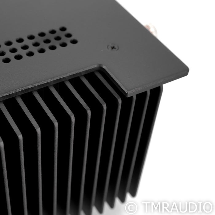 Schiit Audio Aegir Stereo Power Amplifier