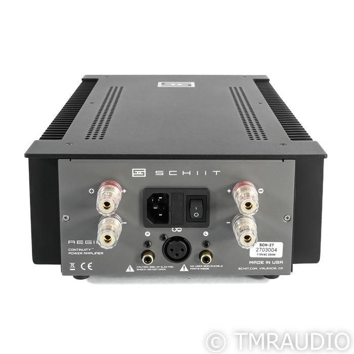 Schiit Audio Aegir Stereo Power Amplifier