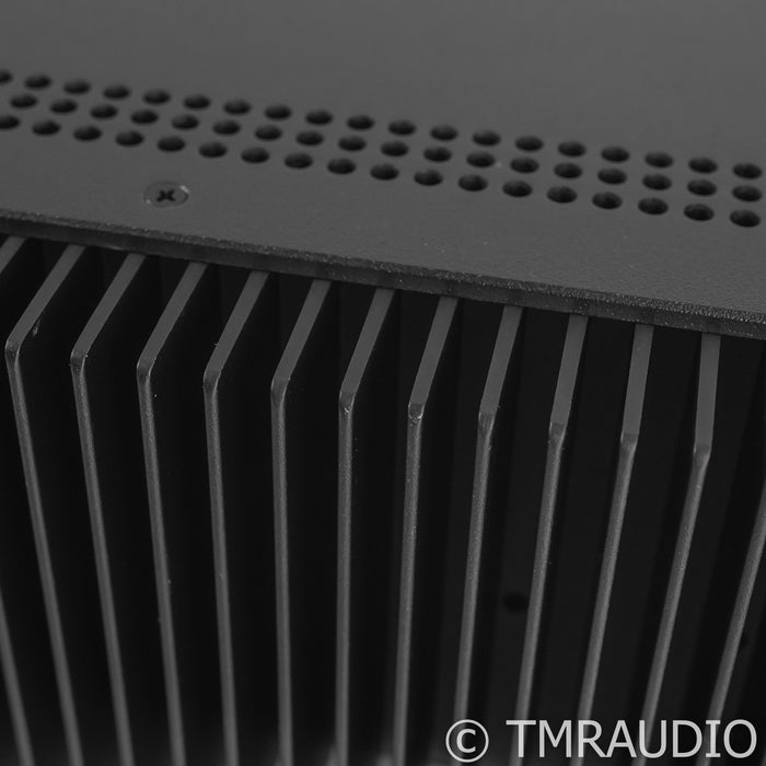Schiit Audio Aegir Stereo Power Amplifier