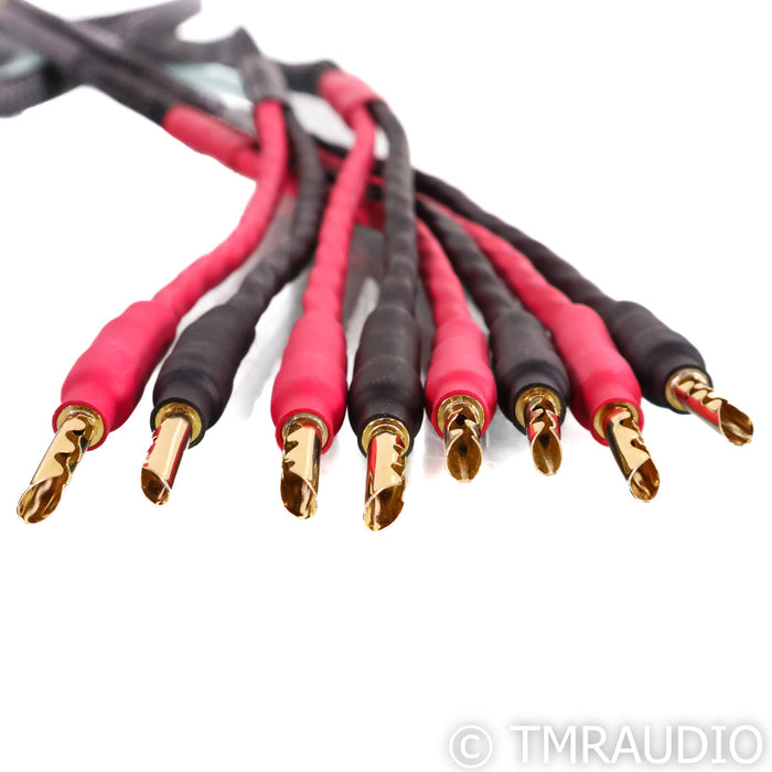 Morrow Audio SP6 Speaker Cables; 2.5m Pair