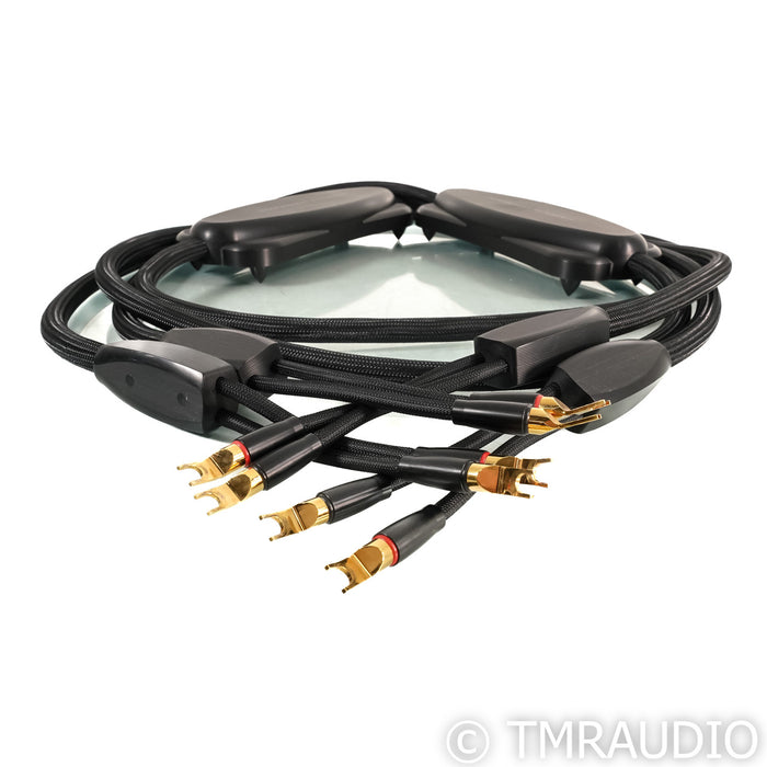 Transparent Audio Reference Gen 5 Speaker Cables; 3.5m Pair
