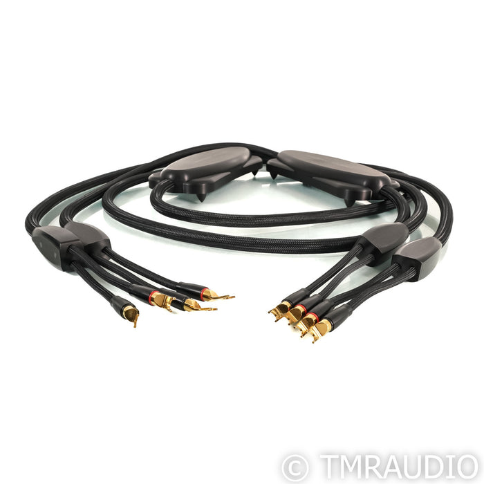 Transparent Audio Reference Gen 5 Speaker Cables; 3.5m Pair