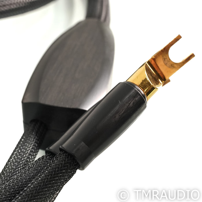 Transparent Audio Reference Gen 5 Speaker Cables; 3.5m Pair
